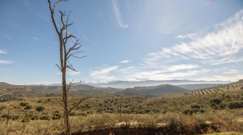 Granada - Granada - 39840m2