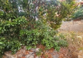 Sòl urbà en venda a la España, Alacant, ref.: TR324860 foto