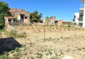 Nau industrial en venda a la España, Felanitx, ref.: TR336012 foto