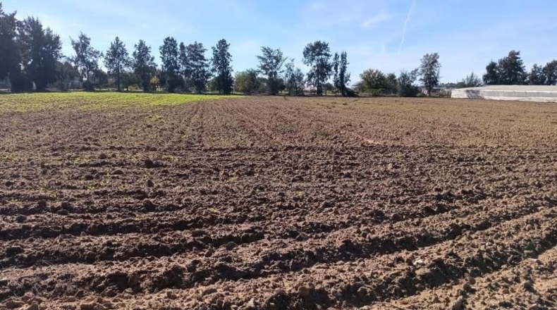 Cádiz - Chipiona - 16500m2