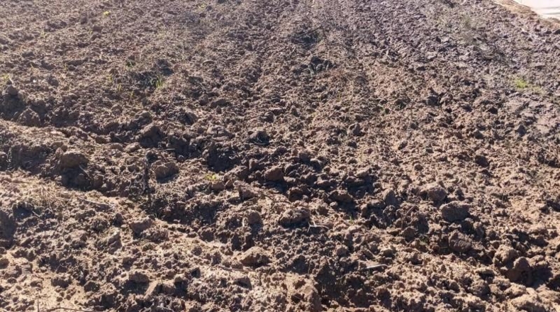 Cádiz - Chipiona - 16500m2