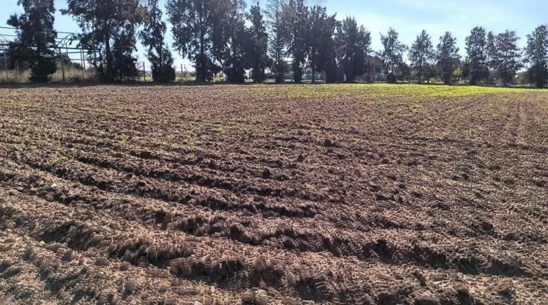 Cádiz - Chipiona - 16500m2