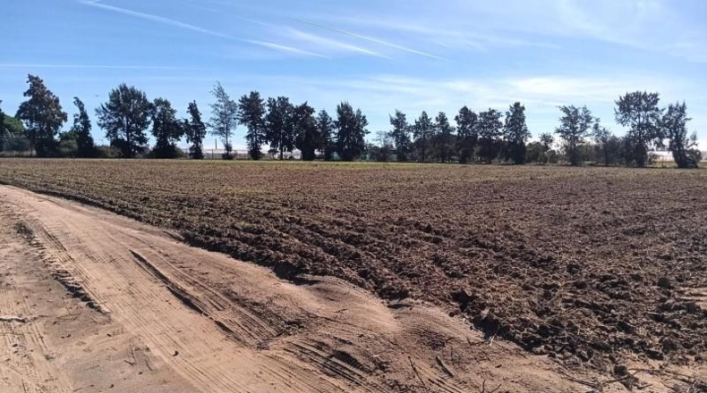 Cádiz - Chipiona - 16500m2