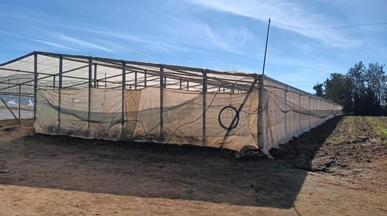 Cádiz - Chipiona - 16500m2