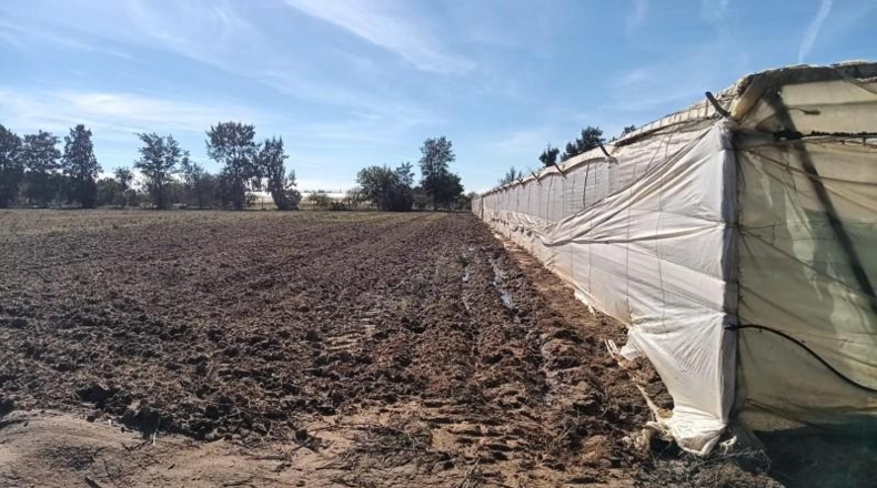 Cádiz - Chipiona - 16500m2