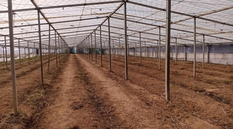 Cádiz - Chipiona - 16500m2