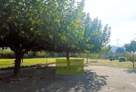 Ontinyent 7243&nbsp;м²