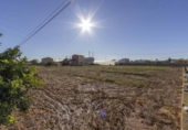 Rural estate for sale on España, Alboraya, ref: TR362746 photo