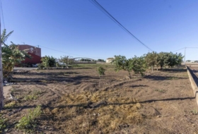 Alboraia 2800&nbsp;m² 