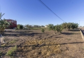 Rural estate for sale on España, Alboraya, ref: TR362746 photo