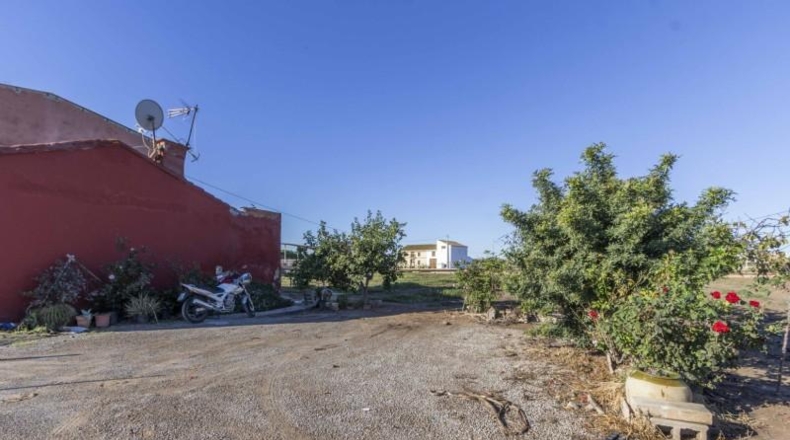 Valencia - Alboraia - 2800m2