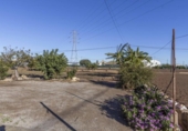 Rural estate for sale on España, Alboraya, ref: TR362746 photo