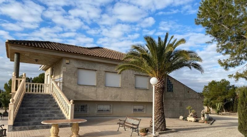 Murcia - Molina de Segura - 5000m2