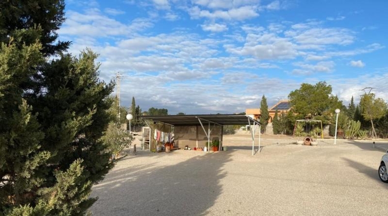 Murcia - Molina de Segura - 5000m2