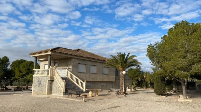 Murcia - Molina de Segura - 5000m2