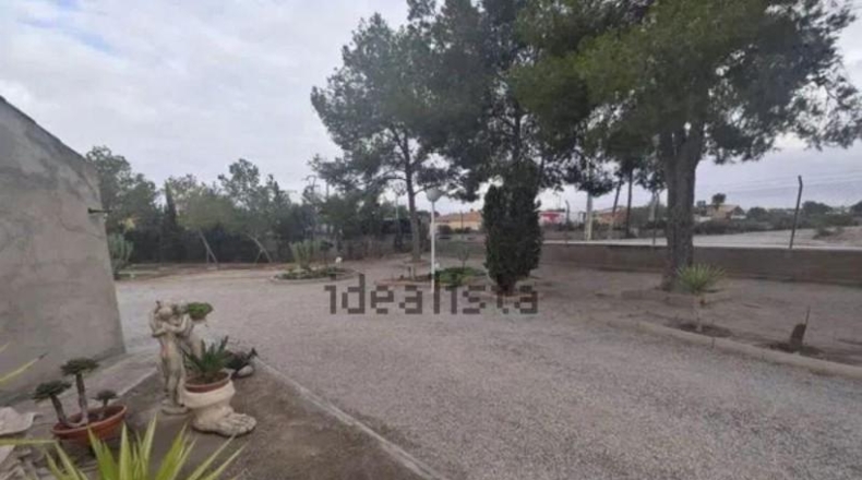 Murcia - Molina de Segura - 5000m2