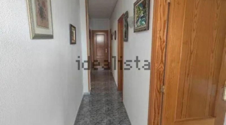 Murcia - Molina de Segura - 5000m2