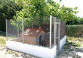 Xalet independent amb terreny en venda a la España, Chiclana de la Frontera, ref.: TR162311 foto