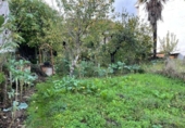 Земля на продажу у города Оренсе Фото