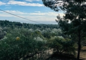 Xalet independent amb terreny en venda a la España, Vandellòs, ref.: TR380243 foto