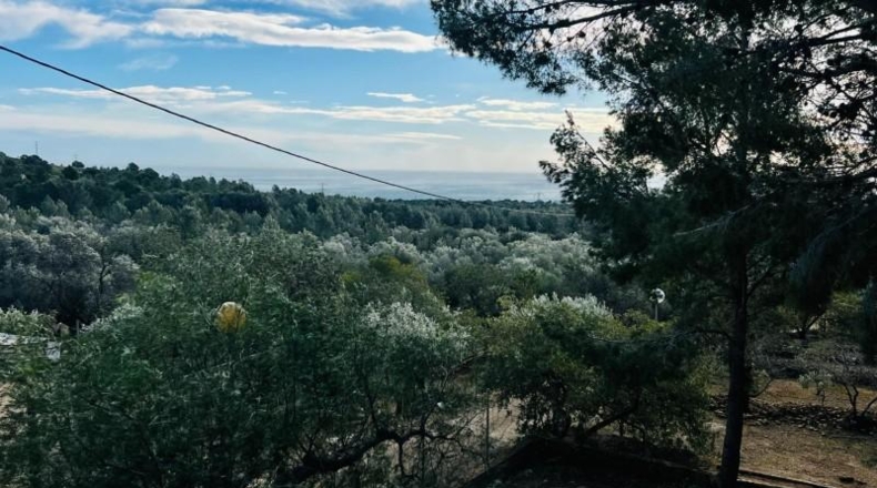 Tarragona - Ванделлос - 16560m2