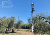 Земля на продажу у города Almonte Фото