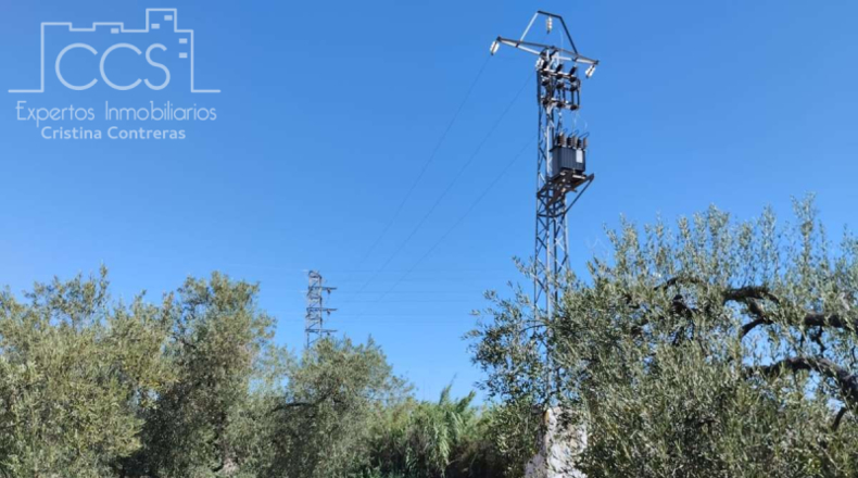 Huelva - Almonte - 150000m2