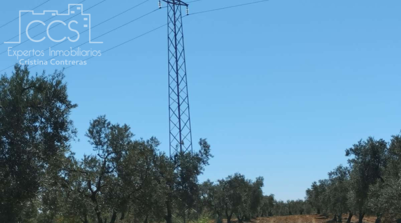 Huelva - Almonte - 150000m2