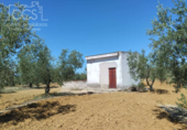 Земля на продажу у города Almonte Фото