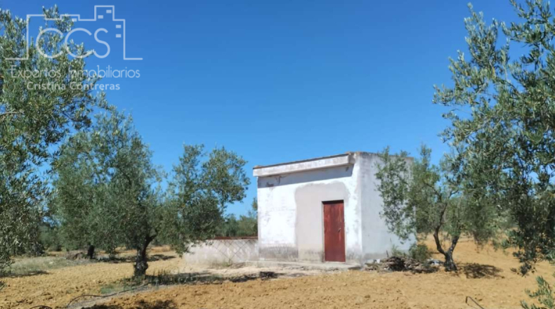 Huelva - Almonte - 150000m2