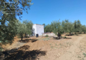 Земля на продажу у города Almonte Фото