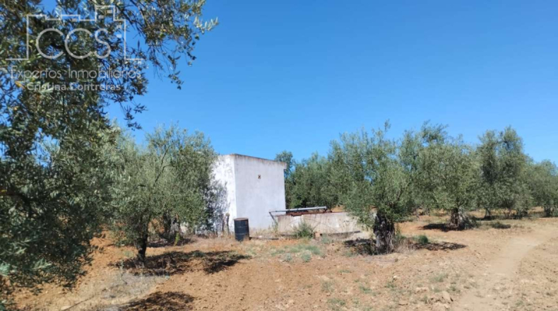 Huelva - Almonte - 150000m2