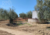 Земля на продажу у города Almonte Фото