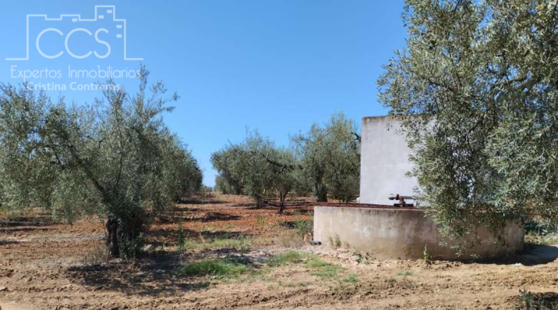 Huelva - Almonte - 150000m2