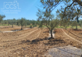 Земля на продажу у города Almonte Фото