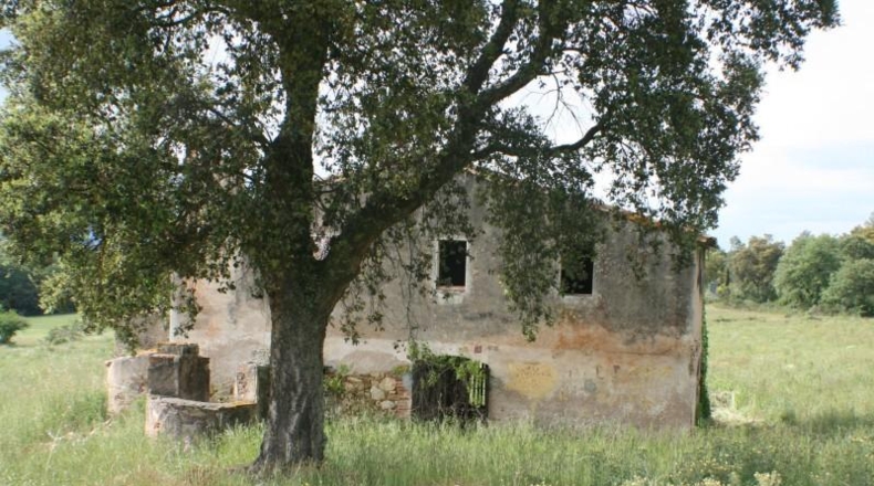 Girona - Maçanet de la Selva - 14527m2