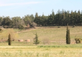 Casa de camp amb terreny en venda a la España, Maçanet de la Selva, ref.: TR371445 foto