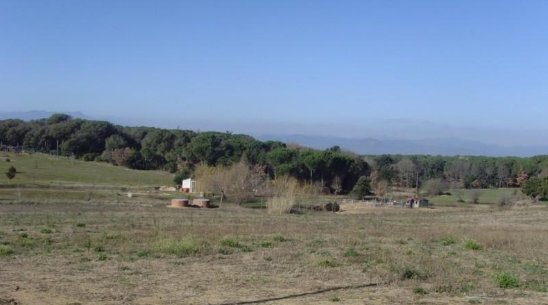 Girona - Maçanet de la Selva - 14527m2