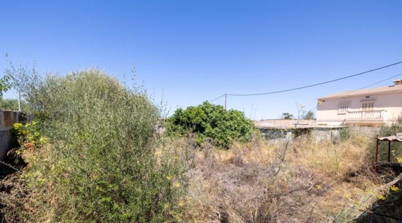 Islas Baleares - Las Salinas - 277m2