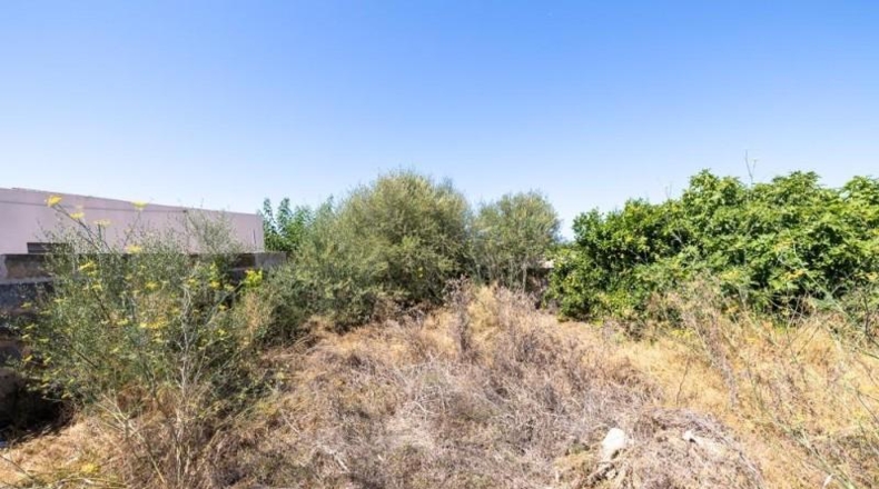 Islas Baleares - Las Salinas - 277m2