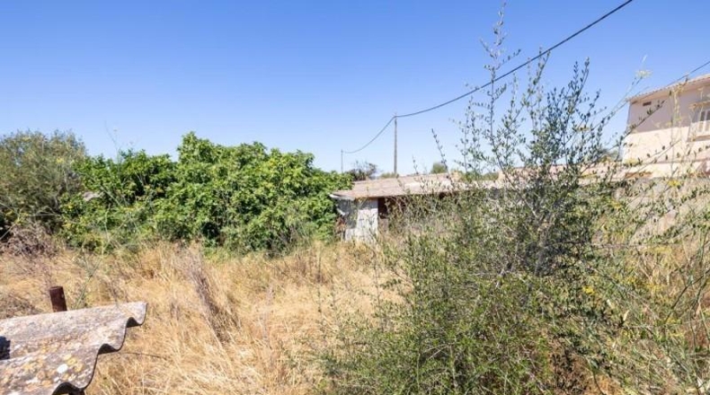 Islas Baleares - Las Salinas - 277m2