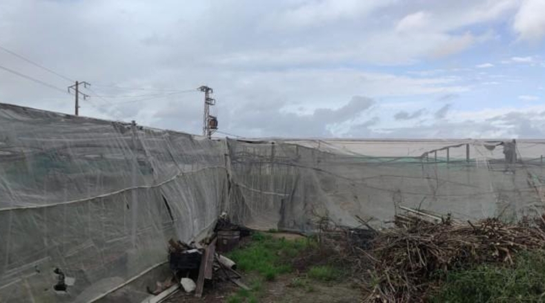 Cádiz - Chipiona - 11000m2