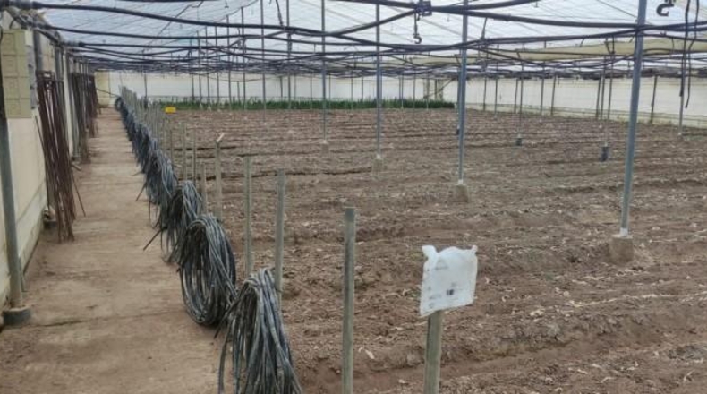 Cádiz - Chipiona - 11000m2