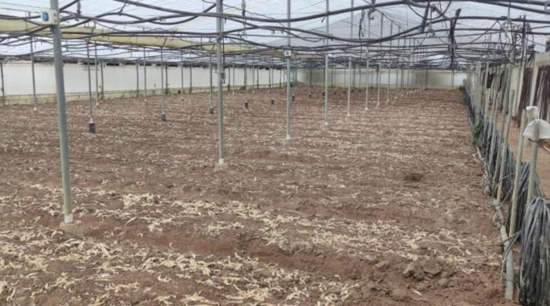 Cádiz - Chipiona - 11000m2