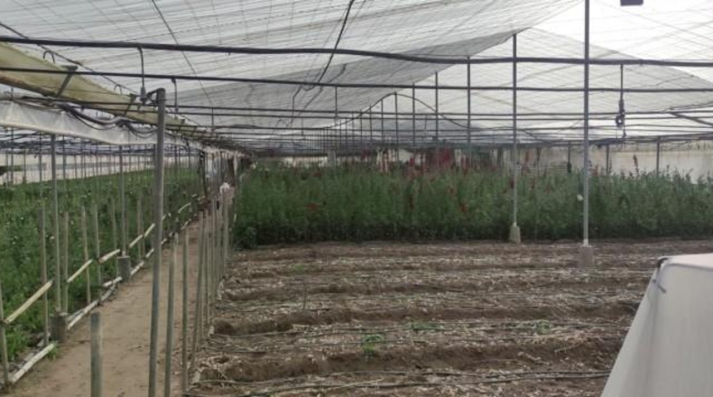 Cádiz - Chipiona - 11000m2