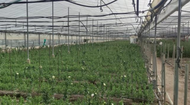 Cádiz - Chipiona - 11000m2