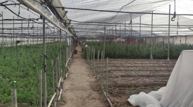 Cádiz - Chipiona - 11000m2