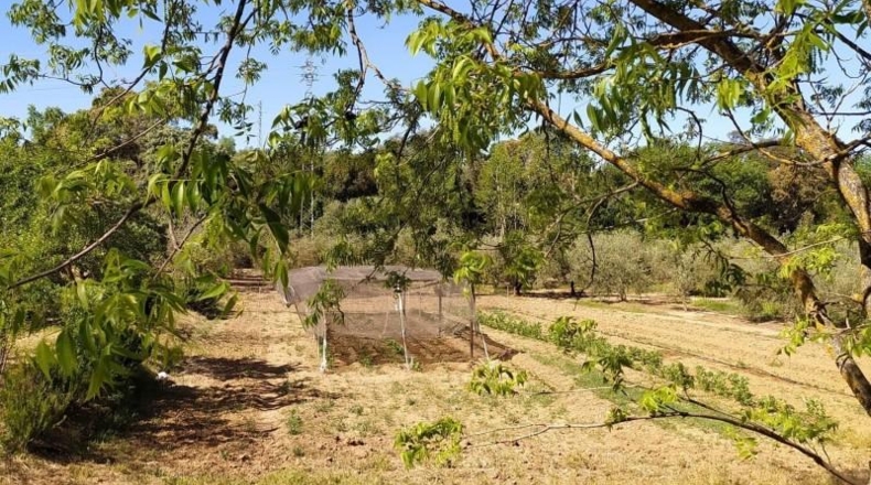 Córdoba - Posadas - 13206m2