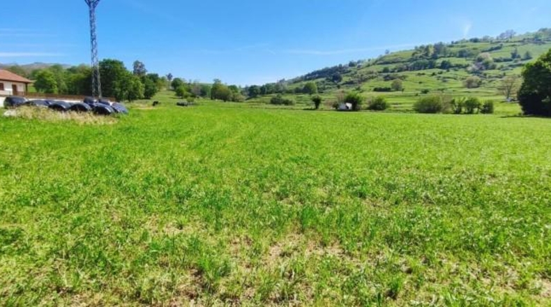 Cantàbria - Santiurde de Toranzo - 6696m2