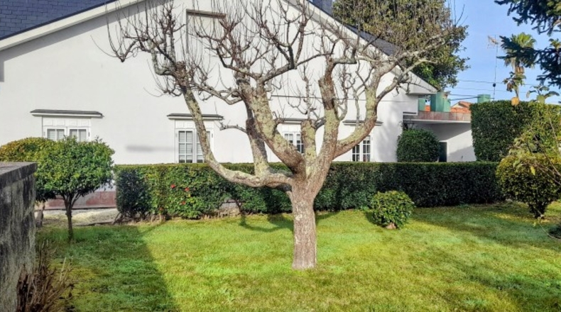 Pontevedra - Paiendes - 1200m2